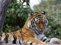 ZOO-Viden 24 srpen 2014 091.JPG
